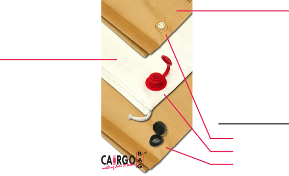 CairgoBag Dunnage Bags & CairgoBag Dunnage Bags' Inflating Systems